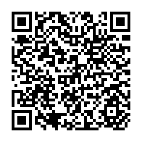 QR Code for International Bank for Reconstruction and Development