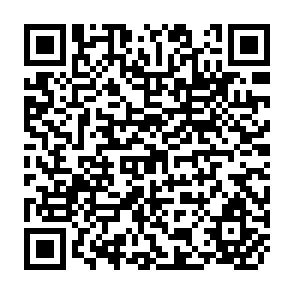 QR Code for The Determinants of Aggregate Savings
