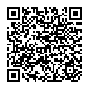QR Code for World Concerns and The United Nations