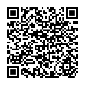 QR Code for The Neo-Ricardian Theory of Trade and Its Critical Evaluation