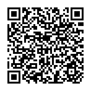 QR Code for Project Planning and Income Distribution
