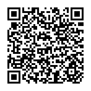QR Code for Indicative World Plan for Agricultural Development- Main Conclusions and Policy Implecations of Provisional Indicative World Plan - Volume 3
