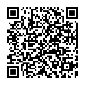 QR Code for Manuscript Reports