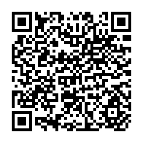 QR Code for Cropping Systems Research in the Pangasinan Project