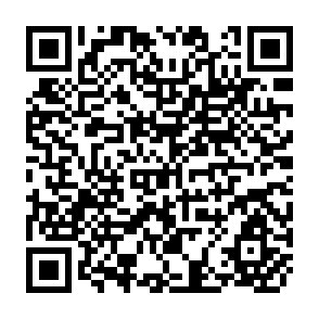 QR Code for The World Rice Market: Structure, Conduct, and Performance