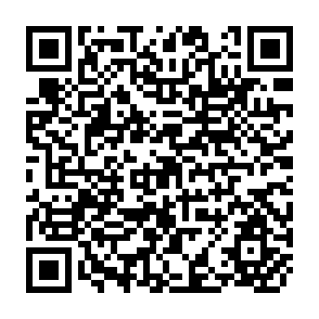 QR Code for The World Rice Market: Structure, Conduct, and Performance