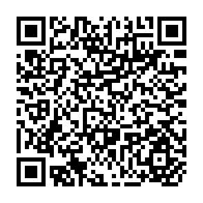 QR Code for Development Studies Centre