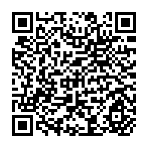QR Code for Calculus for Management, Life  and Social Science