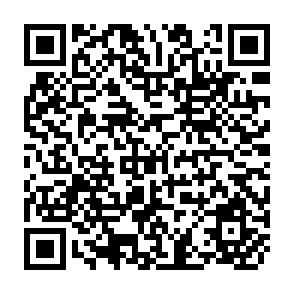 QR Code for Socio-Economic Determinants of Food Consumption and Production in Rural Sierra Leone: Application of an Agricultural Household Model with Several Commodities