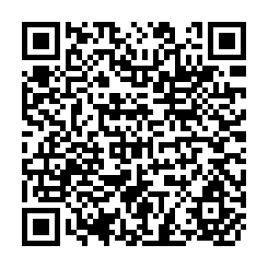 QR Code for Three World Surveys by the Food and Agriculture Organization of the United Nations