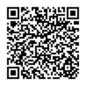 QR Code for Kitale Maize: The Limits of Success
