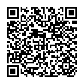 QR Code for A Comparative Analysis of Policies and Other Factors which Affect the Role of the Private Sector in Economic Development