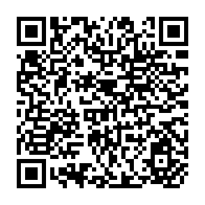 QR Code for Mammals in the Seas