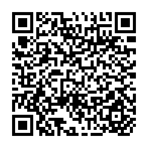 QR Code for A Development Monitoring Service at the Local Level Volume I
