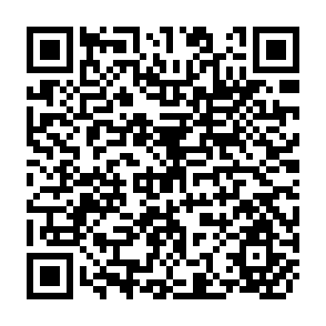 QR Code for Energy Analysis in Rural Regions: Studies in Indonesia, Nepal, and Philippines