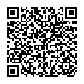 QR Code for A Report on the Survey of Agricultural Inputs Materials with Regard to Advanced Rice Growing Areas in the Philippines