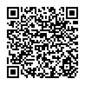 QR Code for Arbitration and Group Decision under Uncertainty