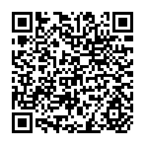 QR Code for Closing the Cereals Gap With Trade and Food AID