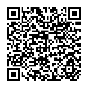 QR Code for Homes for the Migrants: The Pueblos Jovenes Of Lima