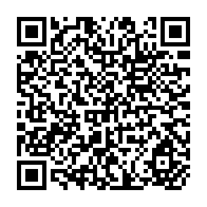 QR Code for World Agricultural Statistics