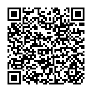 QR Code for A Comparative Analysis of Five PL 480 Title I Impact Evalution Studies