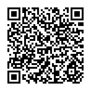 QR Code for Capitalizing Workers:The Impact of Employee Stock Owership Plans in Selected Developing Countries