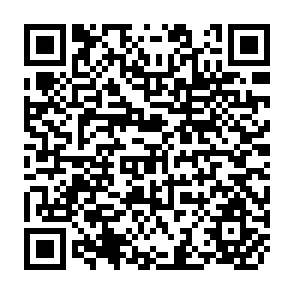 QR Code for Jamaica:The Impact and Effectiveness of The PL 480 Title I Program
