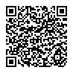 QR Code for Econometric Models and Economic Forecasts