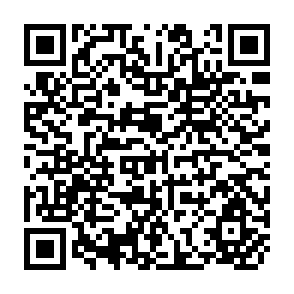 QR Code for International Center for Law and Development