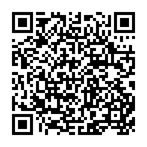 QR Code for The Agriculltural Machinery Industry: An Appraisal of The Current Global situation production and Market Outlook Statistical Compendium