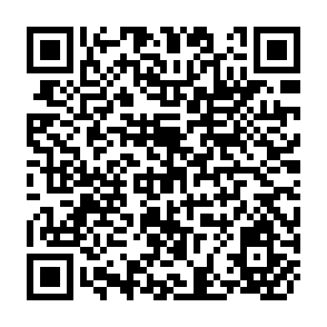 QR Code for The Agriculltural Machinery Industry: An Appraisal of The Current Global situation production and Market Outlook