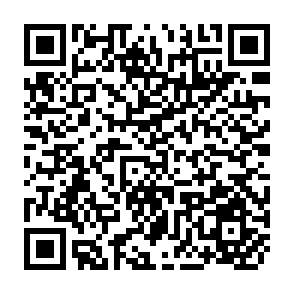 QR Code for Planning and Administration of Tribal Development Programmes- An Overview