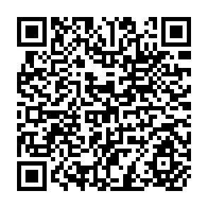 QR Code for The Dynamics of Rural Poverty in Ghana and Its Alleviation