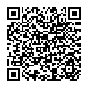 QR Code for Towards the Alleviation of Rural Poverty in the Sudan