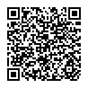 QR Code for Prelimmary Concepts Volume 8: Sequences,Series,Probability,and Statistics