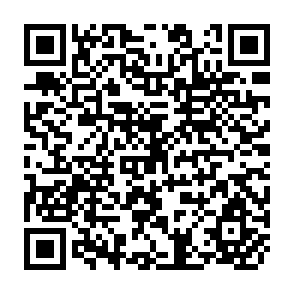 QR Code for Bangladesh Economy and Rural Un-Employment , a Country Profile