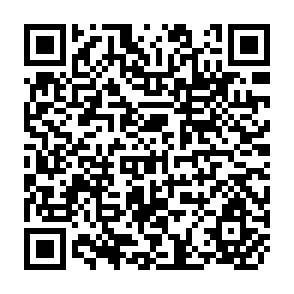 QR Code for The World Food Equation:Interrelations Among Development, Employment, and Food Consumption