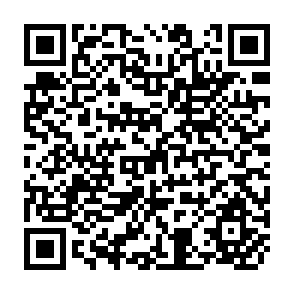 QR Code for Reform of the CAP: Impact on the third world