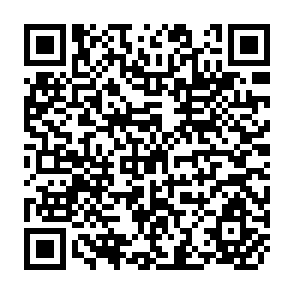 QR Code for Household Food Distribution : Papers from the Food Policy Symposium Sponsored by the International Commission on Anthropology of Food (ICAF) and the International Food Policy Research Institute(IFPRI)