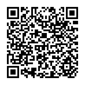 QR Code for Small Farmers Development Programme