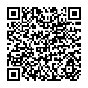 QR Code for Sensitivity Tests of the Crop and Management Variables in Irrimod