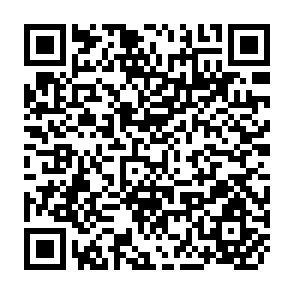 QR Code for Nestle Research News 1982/83