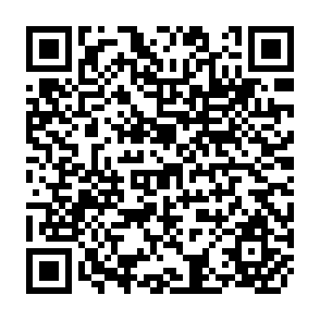 QR Code for Protein, Calories, and Development: Nutritional variable in the Economics of Developing Countries