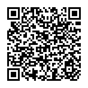 QR Code for Underdevelopment and agrarian structure in Pakistan