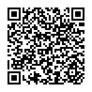 QR Code for Levels of Poverty: Policy and Change
