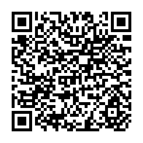 QR Code for Exploratory Data Analysis