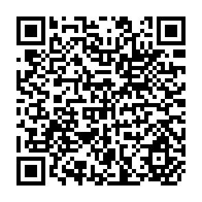 QR Code for Multiple Indicators An Introduction
