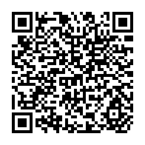 QR Code for Risk Analysis in Project Appraisal