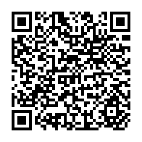 QR Code for Malnutrition and Poverty- Magnitude and Policy Options