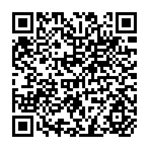 QR Code for The Social Dimensions of Development